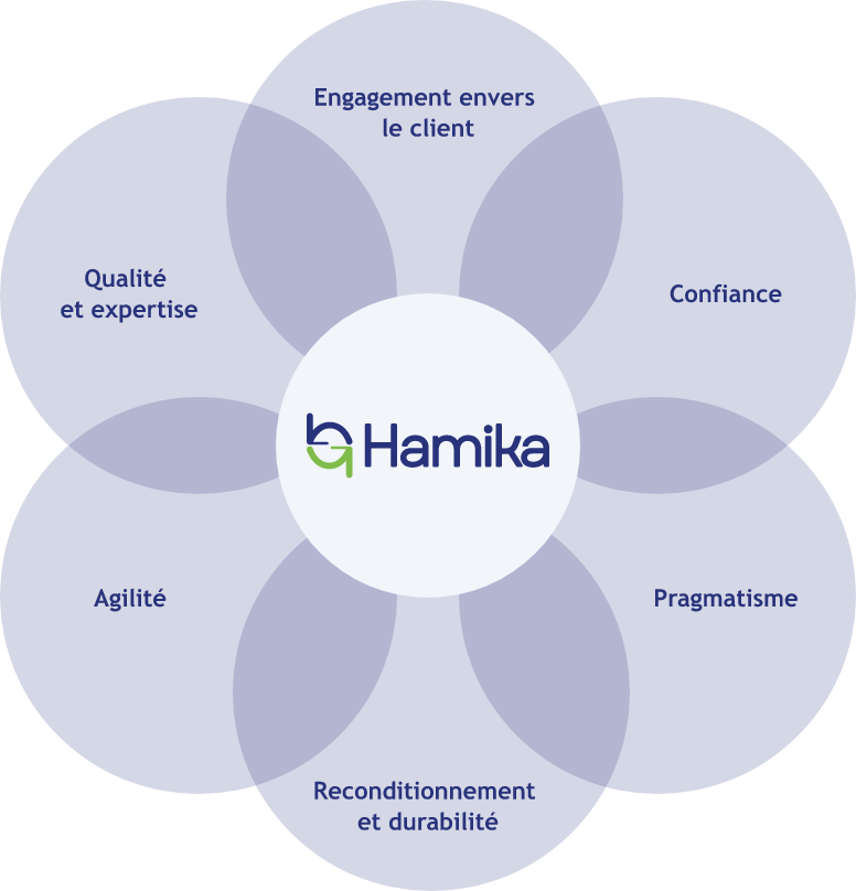 fleur-valeurs-hamika